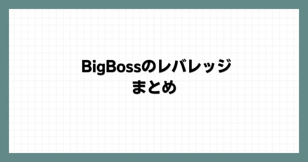 BigBossのレバレッジ　まとめ